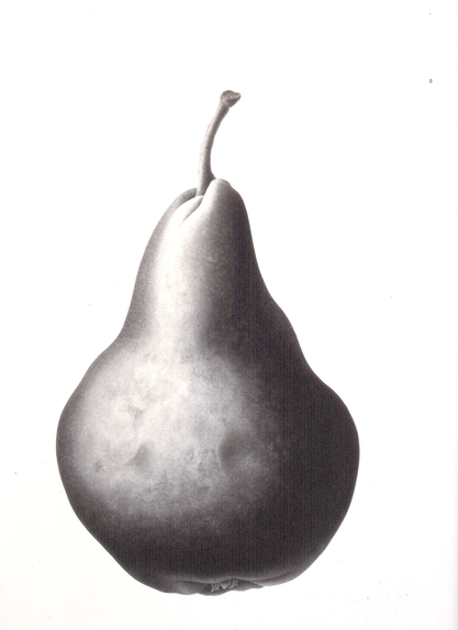 Pear Study 2