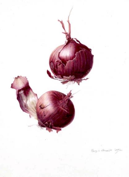 Two Red Onions
