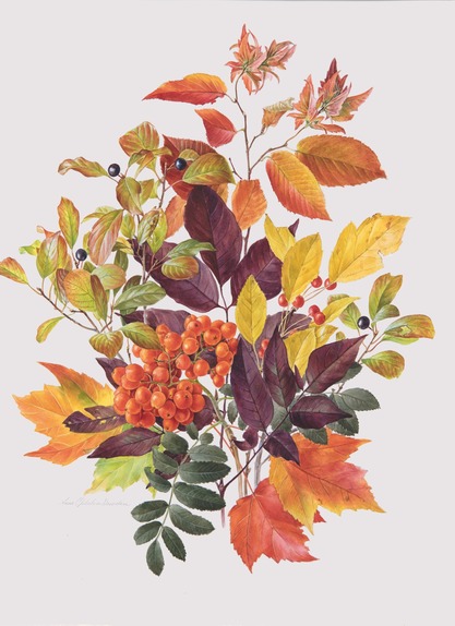 Autumn Foliage & Berries